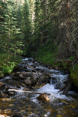 Fototapeta na wymiar Forest Waterfall