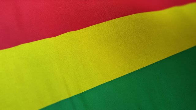 Bolivia national flag seamlessly waving on realistic satin texture 29.97FPS