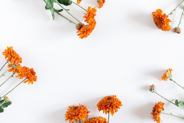 Autumn flowers composition. Orange flowers on white background. Fall concept. Autumn background. Flat lay, top view, copy space