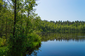 Fototapeta na wymiar Glebovsky Lake