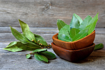 Laurel or sweet bay in a wooden bowl