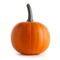 Pumpkin isolated on white