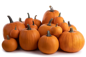 Heap of orange pumpkins