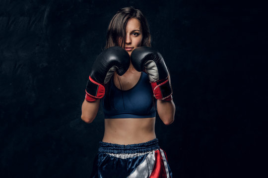 Female Boxer Images – Browse 85,446 Stock Photos, Vectors, and Video