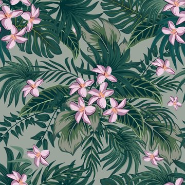 Plumeriia. Tropical palm leaves, jungle leaves seamless vector floral pattern background.