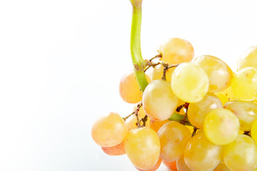 Bunch of grape on a white background