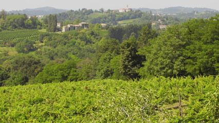 green hills landscape