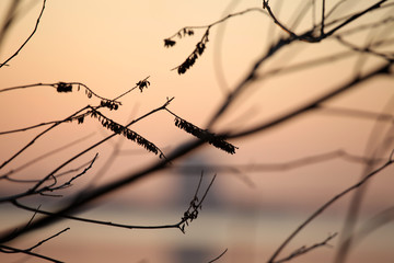 River sunset in spring art natural