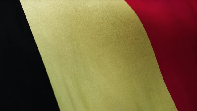 Belgium national flag seamlessly waving on realistic satin texture 29.97FPS