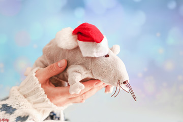 Woman's hands holding a rat in a santa hat a symbol of the new 2020, the idea of the holiday Christmas