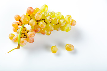 Bunch of grape on a white background