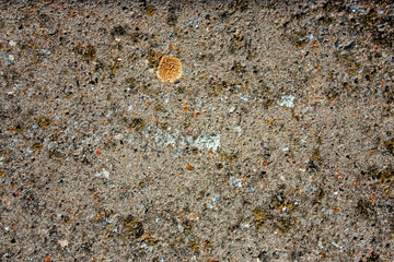 Concrete with river sand on the surface. Mold on a concrete slab surface, top view. Yellow mold on a concrete slab closeup.