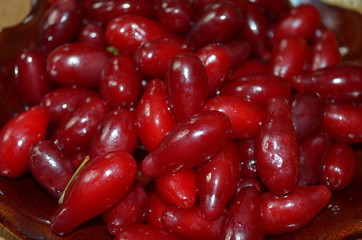 Red jusy wet dogwood berries on the ceramic plate