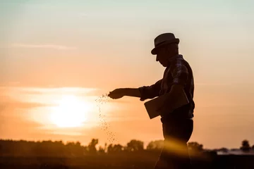 Fotobehang profile of senior farmer in straw hat sowing seeds during sunset © LIGHTFIELD STUDIOS