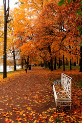 Russia, St. Petersburg, October 13, 2018, Alexander Park. In the photo there is an autumn alley...