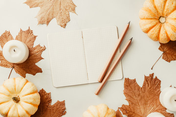 Autumn flat lay with small pumpkins, fall maple leaves and blank paper notebook on a white background. The concept of september and school, mockup.