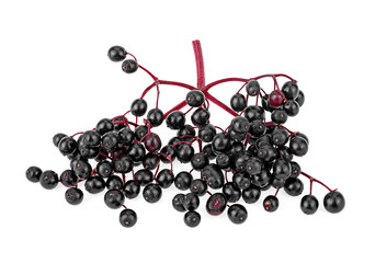 Fresh branch of elderberry fruit isolated on white background. Elderberries on red twig.