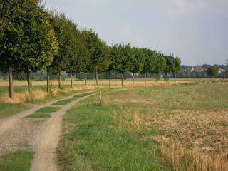 Obraz premium Radweg 