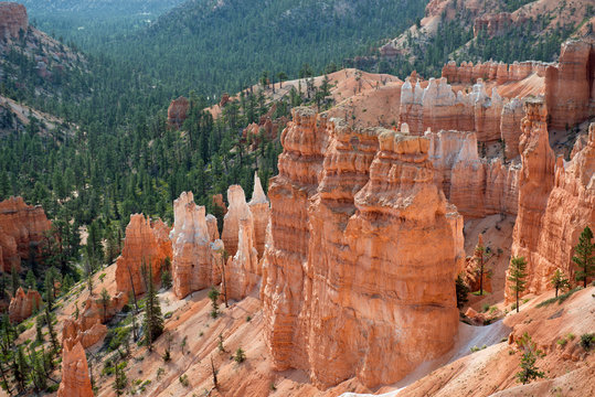 Bryce Canyon with red rocks and the right and trees on the left