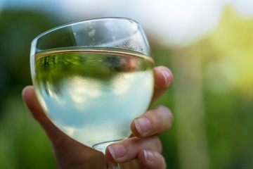 A hand holds a glass of white wine