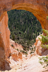Look through red arch at Bryce Canyon with trees behind