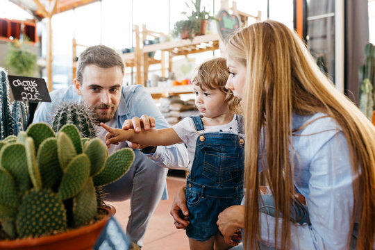 Mother, father and daughter in the cactus area inside a garden center