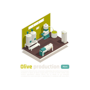 Olive Production Isometric Composition 