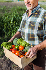 cropped view of happy farmer holding wooden box with vegetables near corn field