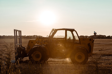 sunlight on tractor near wheat field in evening