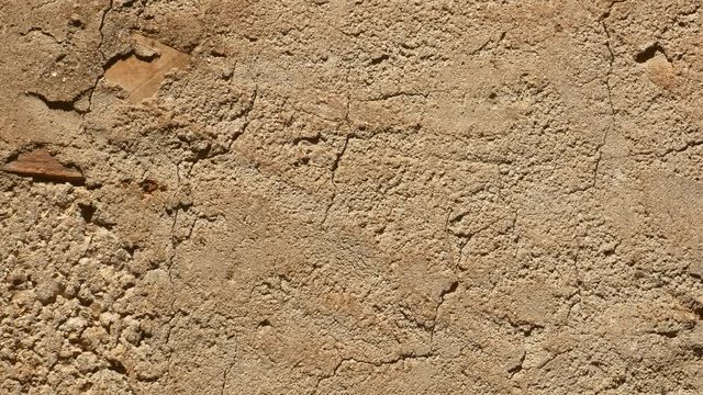 Mud Wall and Cement Video Texture Detail