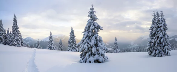 Poster Winterlandschap. Spectaculair panorama wordt geopend op bergen, bomen bedekt met witte sneeuw, gazon en blauwe lucht met wolken. © Vitalii_Mamchuk