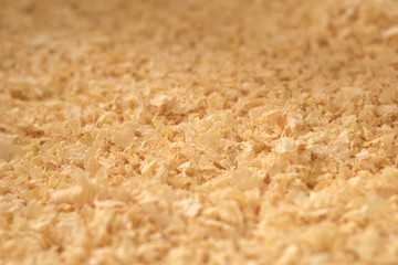 Pine wood shavings, used as pet bedding and litter. Texture detail.