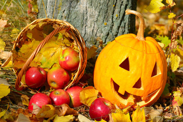 Halloween pumpkin head jack lantern against an autumn forest.