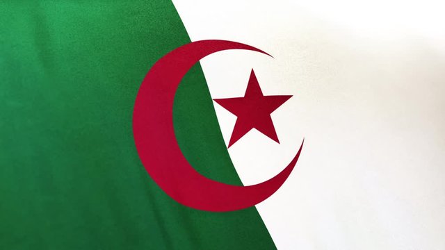 Algeria national flag seamlessly waving on realistic satin texture 29.97FPS