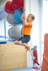 Fototapeta na wymiar Little boy gymnast climbs a rope