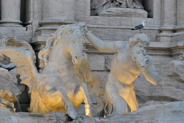 Particolare della Fontana di Trevi - roma