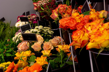 Schnittblumen im Blumenladen zum Binden von Sträußen, bunte Blumenauswahl, Floristik, Blumen binden, Strauße binden, Rosen in allen Varianten