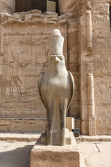 Statue of Horus in Edfu Temple, Egypt