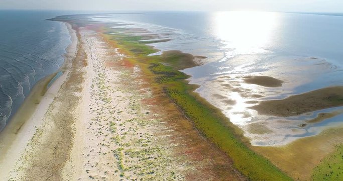 Aerial View of Sacalin Peninsula in Danube Delta