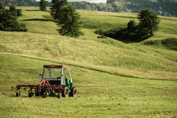 Obraz premium Agricoltura in montagna