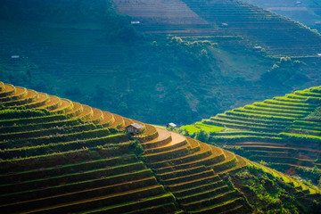 Rizières en terrasses, Haut Tonkin, province de Yên Bái, district de Mù Cang Chai,  Vietnam. - obrazy, fototapety, plakaty