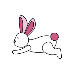 Isolated rabbit cartoon vector design