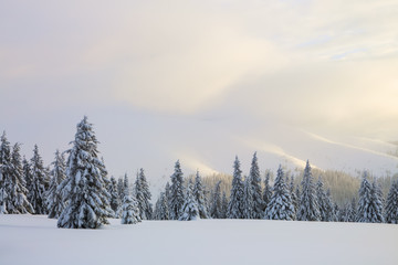 Beautiful landscape on the cold winter morning. Lawn and forests. Location the Carpathian Mountains, Ukraine, Europe.