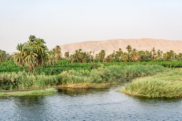 Fototapeta na wymiar Bank of Nile river seen during touristic cruise, Egypt