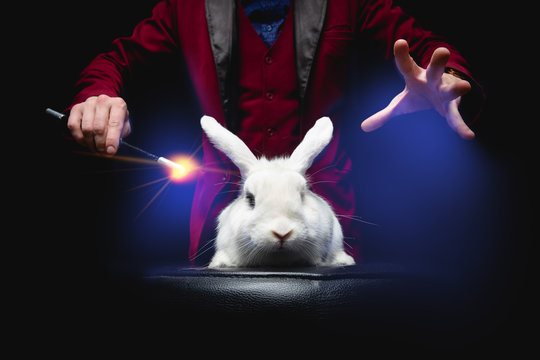 Magician man makes trick with white rabbit and magic wand, dust blue glow