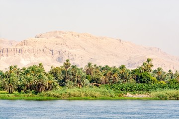 Bank of Nile river seen during touristic cruise, Egypt