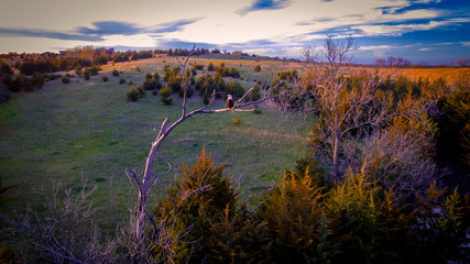 Nebraska countryside landscape trees, water, and sky with clouds