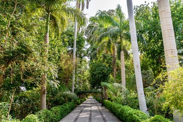 Botanical island (Lord Kitchener's island) on Nile river, Egypt
