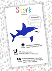 Shark. food, habitat, interesting facts. educational cards for children, preschoolers, kindergarten, home schooling. Learning English