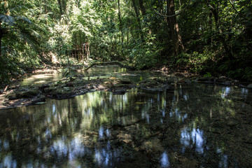 Jungle and water surrounding the temples of Palenque. Yucatan, Mexico
